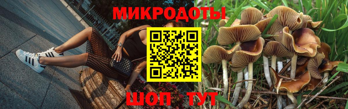 Галлюциногенные грибы Magic Shrooms Ишим