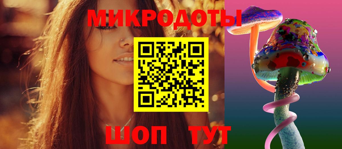 Ишим  Псилоцибиновые грибы мицелий  Вход с VPN 